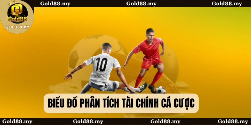 Biểu đồ phân tích tài chính cá cược
