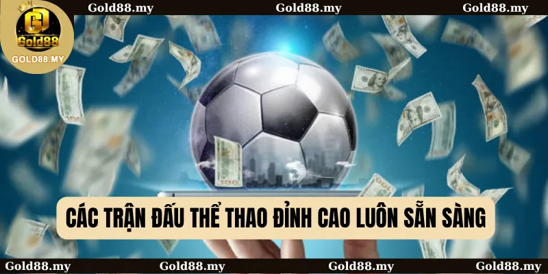 Các trận đấu thể thao đỉnh cao luôn sẵn sàng