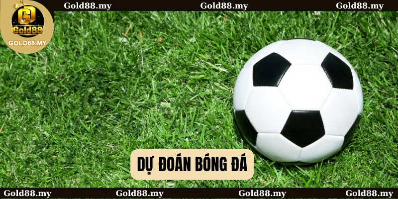 dự đoán bóng đá