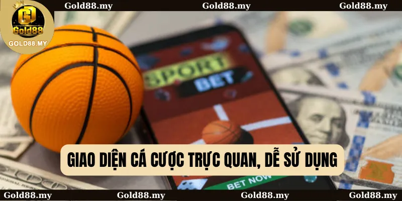 Giao diện cá cược trực quan, dễ sử dụng