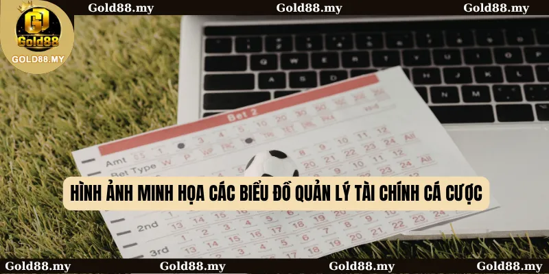 Hình ảnh minh họa các biểu đồ quản lý tài chính cá cược