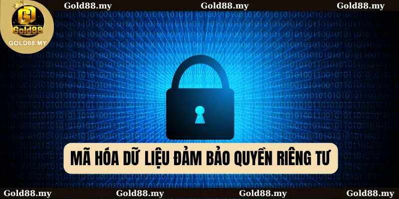 Mã hóa dữ liệu đảm bảo quyền riêng tư