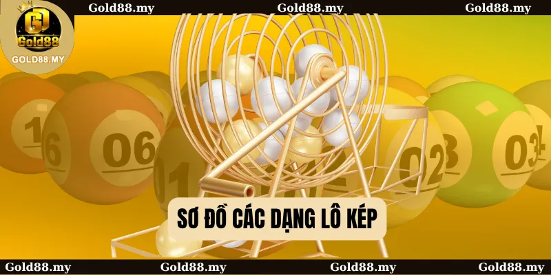 Sơ đồ các dạng lô kép